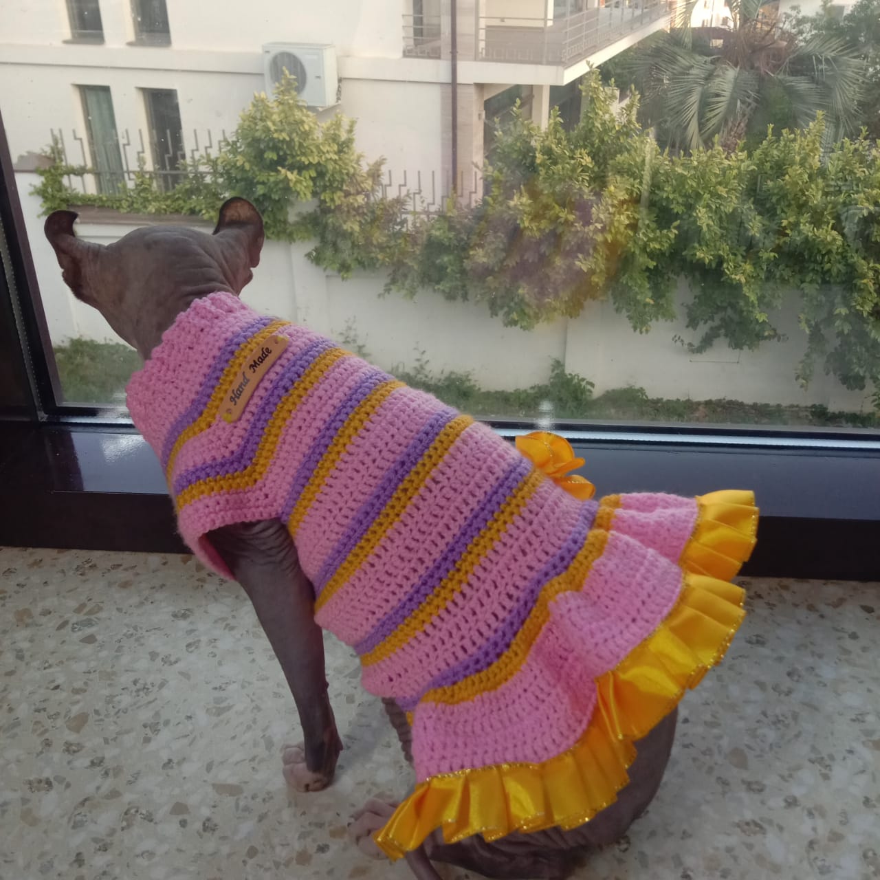 связано из Baby Cotton Rainbow